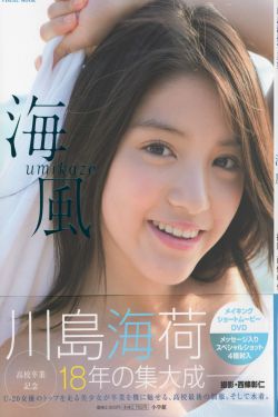 春野樱本子